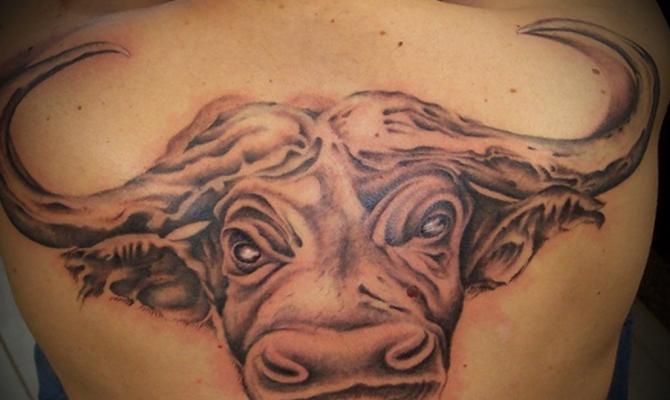 Значение татуировки с изображением медведя